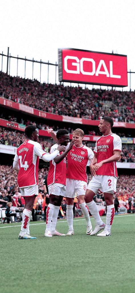 Arsenal Wallpaper The Beautiful Game Football, Arsenal Wallpaper, Arsenal Fc Players, Premier League Winners, Arsenal Soccer, Arsenal Wallpapers, London Football, Football Wallpapers, Soccer Boyfriend