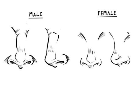 Noses Front View Drawing, How To Draw Noses Front View, Women Nose Drawing, Female Face Reference Front View, Anime Noses Front View, Nose Drawing Male, Front Facing Nose Drawing, Front Nose Drawing, Male Nose Drawing Reference