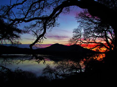 My view through the trees Mt Konocti (ancient volcano) Clearlake Oaks, California Clearlake California, Winter Sunset, Lake County, Lake Life, Lake View, Northern California, Volcano, Cali, Trees