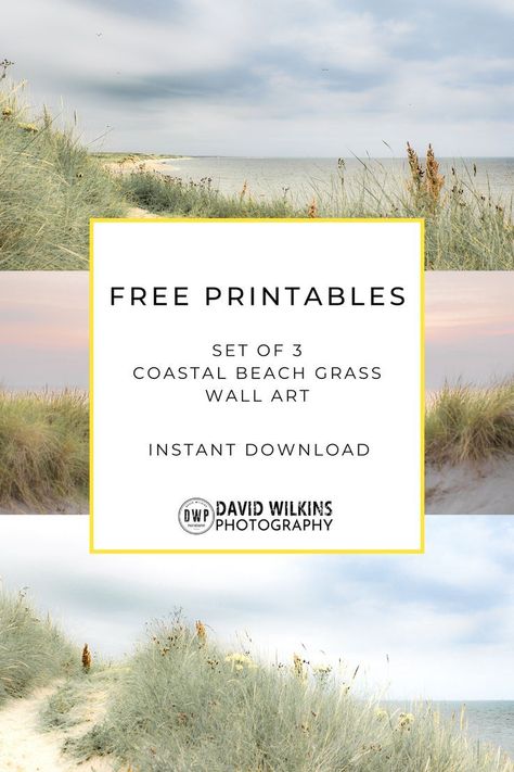 Free Coastal Beach Grass Printables | Instant Downloadable Wall Art | acrylic painting food
, kitchen artwork painting
, kitchen artwork painting
, acrylic painting kitchen art
, oil painting food
, kitchen paintings art wall decor
, kitchen paintings art wall decor bohemian
, fruit wall art
, fruit art print
, fruit painting prints
, abstract fruit painting
, fruit canvas painting Beach Printables, Paintings Wall Decor, Beachy Wall Art, 3 Panel Wall Art, Grass Art, Triptych Art, Beachy Theme, Beach Grass, Grass Wall