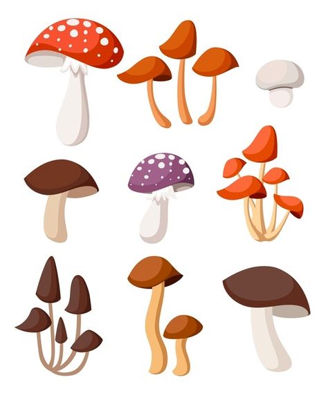 Mushroom Vector, Mushrooms Illustration, Birthday Fiesta, Mushroom Paint, Doodle Art Journals, Alphabet Images, Cute Mushroom, Floral Embroidery Patterns, Mushroom Decor