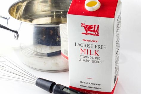 Lactose Free Yogurt Recipe, Lactose Free Yogurt, Bulgarian Yogurt, Starter Cultures, Thick Yogurt, Lactose Free Milk, Yogurt Recipe, Yogurt Maker, Lactose Intolerant