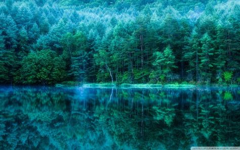 Japanese Forest Wallpapers - Top Free Japanese Forest Backgrounds - WallpaperAccess Thunderhead Color, Cute Teal Wallpaper Iphone, Forest Iphone Wallpaper, Teal Wallpaper Iphone, Photo Bleu, Japanese Forest, Wallpaper Estetika, Wallpaper Homescreen, Nature Iphone Wallpaper