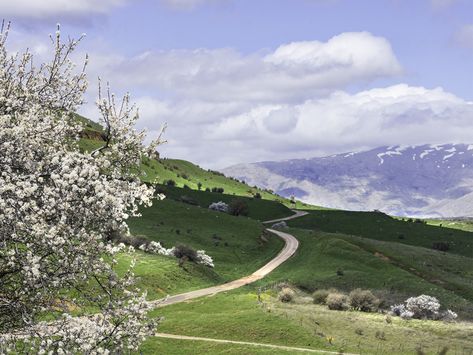 Mount Hermon Was Flood-Formed Book Of Enoch, Mount Hermon, Golan Heights, Genesis 6, Before The Flood, End Times, Past Tense, Fallen Angel, Ski Resort