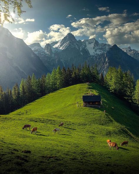 wonderhome — utwo: Austria Mountains © H.Falkner Austria Mountains, Mountains Aesthetic, Dreamy Landscapes, Summer Garden Party, Travel Wishlist, Geology, Sunny Days, Austria, Switzerland