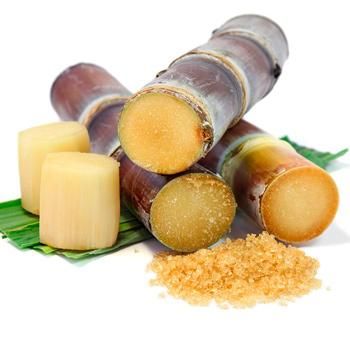 Sugar Cane Plant, Kinds Of Fruits, Fast Growing Trees, Fruit Plants, Exotic Fruit, Sugar Cane, Tropical Fruit, Planting Herbs, Plant Sale