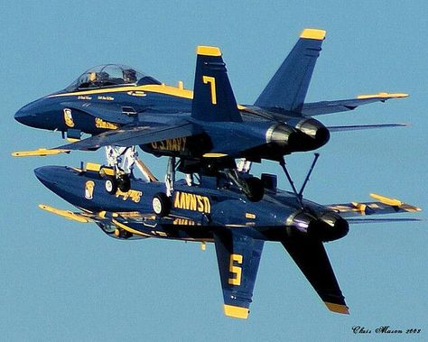 Blue Angels 5 & 7 just inches apart! Us Navy Blue Angels, Photo Avion, Navy Aircraft, Blue Angel, Military Jets, United States Military, Jet Aircraft, Jet Plane, Blue Angels