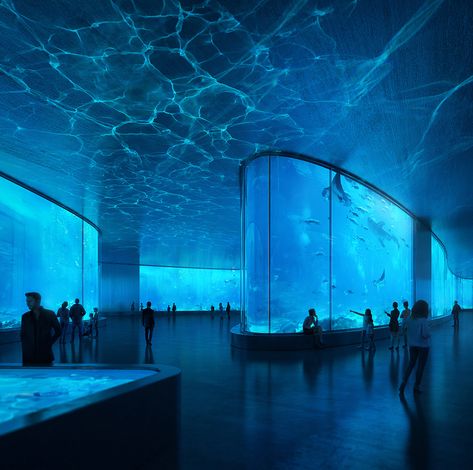 Meagan Core, Nyc Aquarium, Pretty Sights, Large Aquarium, Bühnen Design, Aquarium Architecture, Core Aesthetics, Frutiger Aero, Blue Lights