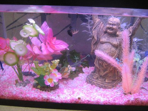 Fish Tank Bed, Glofish Tank, Kawaii Fish, Fish Tank Themes, Fish Tank Terrarium, Cool Fish Tanks, Fish Tank Design, Pretty Fish, Fresh Water Fish Tank