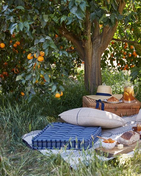 Ralph Lauren Home on Instagram: “Summer beckons with an idyllic picnic set beneath the orange trees in Ojai, California. Explore summer essentials via the link in bio.…” Picnic Inspiration, Garden Picnic, Picnic Set, Picnic Time, Orange Tree, Outdoor Picnic, Vintage Cottage, A Picnic, Décor Diy