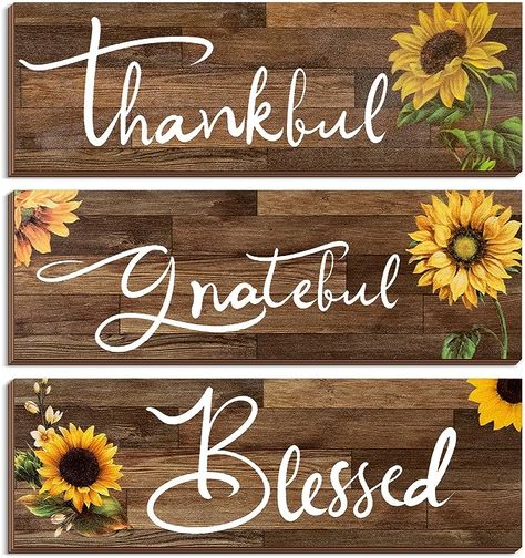 Amazon.com: 3 Pcs Sunflower Gifts Farmhouse Wall Decor Thankful Grateful Blessed Wooden Signs Lemon Hanging Wall Signs Rustic Sunflower Kitchen Decor for Farmhouse Outdoor Summer(Brown,Sunflower) : Home & Kitchen Brown Sunflower, Sunflower Kitchen Decor, Home Wooden Signs, Sunflower Kitchen, Sunflower Wall Art, Thankful Grateful Blessed, Rustic Texture, Family Wall Art, Sunflower Gifts