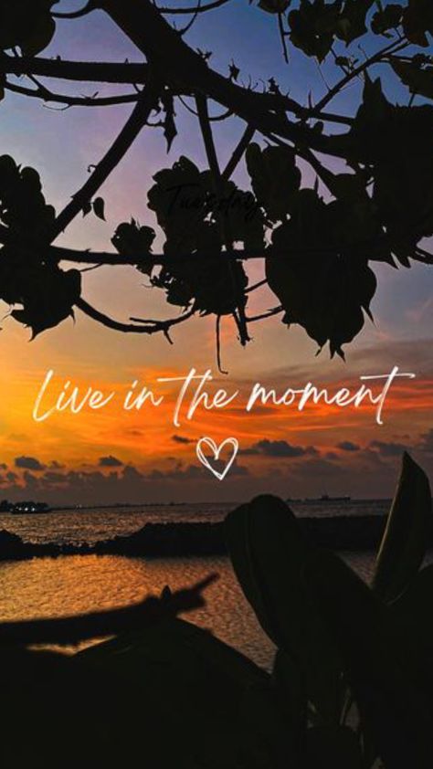 Live The Moment Wallpaper, Vision Board Photos Pictures Happiness, Live In The Moment Aesthetic, Vision Board Photos Pictures Self Care, Living In The Moment Aesthetic, Vision Board Photos Pictures Health, Live In The Moment Wallpaper, Sprital Quotes, Enjoy Life Pictures