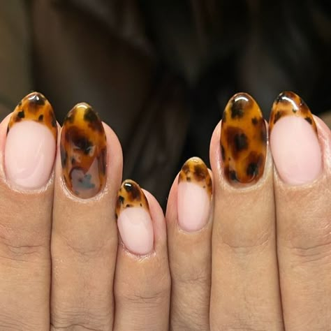 Nails By Kayla on Instagram: "You can never go wrong with classic tortoise shell nails!!😍 • • #fallnails #tortoiseshellnailart #tortoiseshellnails #neutralnails #nailart #brownnails #nailtech #nailstagram #nailaaddict #nailsofinstagram #handpaintednailart #trendynails #gelnails #luminarynails #acrylicnails #nails" Tortoise Gel Nails, Tortoise Shell Nail Tips, Tortoiseshell Nails With Gold, Torrid Shell Nails, Brown Turtle Shell Nails, Short Tortoise Nails, Tortoise Nails Almond, Tortice Nails, Tortoise Tip Nails