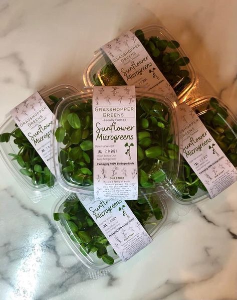 Fresh Herbs Packaging, Packaging Microgreens, Microgreens Branding, Microgreens Packaging Ideas, Microgreen Packaging, Microgreens Packaging, Microgreen Business, Farm Market Ideas, Fresh Food Packaging