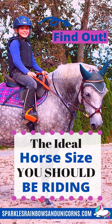 When you decide that you want to buy or lease a horse, you will probably ask yourself 'What size horse is right for me?’ Maybe you are just curious what size horse fits you best.Generally you can ride horses in a range of sizes and be okay. However it’s possible to be too big or small for a horse as well. In this post you’ll figure out what the ideal horse size range is for you. So how do you figure out what size horse is ideal for you? Keep reading... Horse Main Braiding, How To Ride A Horse For Beginners, Training A Horse, Owning A Horse For The First Time, Horse Riding Tips English, Horse Quizzes, How To Ride A Horse, Horse Safety, Buying A Horse