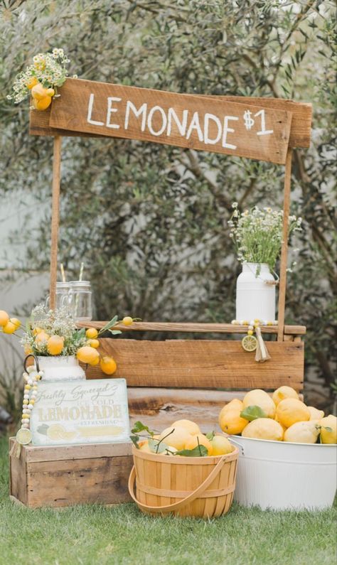 Kids Lemonade Stands, Lemonade Stand Party, Lemon Farm, Diy Lemonade Stand, Kids Lemonade, Diy Lemonade, Lemonade Bar, Fruit Popsicles, Food Cart Design