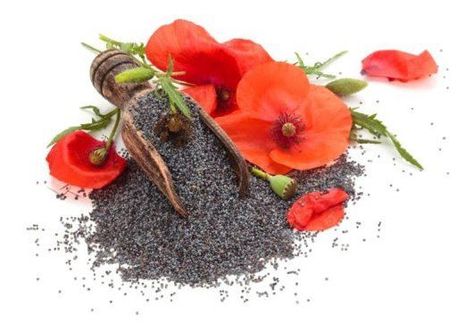 Spices Health Benefits, Poppy Flower Seeds, Balanced Diet Plan, Eye Sight Improvement, Boost Immune System, Herbs For Health, Healthy Bones, Herbs And Spices, Poppy Seeds