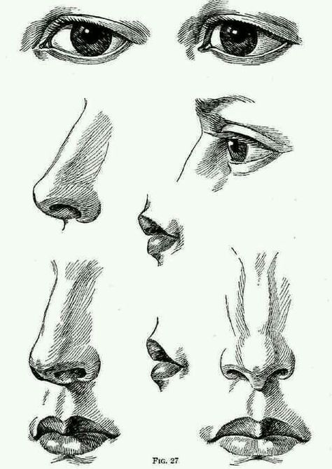 Noise and eye Draw Noses, 얼굴 드로잉, Nose Drawing, 얼굴 그리기, Art Instructions, The Nose, Drawing Techniques, Side View, Drawing People