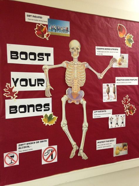 1000+ ideas about Nurse Bulletin Board on Pinterest | School nurse ... Nurse Bulletin Board Ideas, School Nurse Bulletin Board Ideas, Office Bulletin Board Ideas, Nutrition Day, Middle School Bulletin Boards, Nurse Bulletin Board, School Nurse Office Decorations, Health Bulletin Boards, Nurse Office Decor