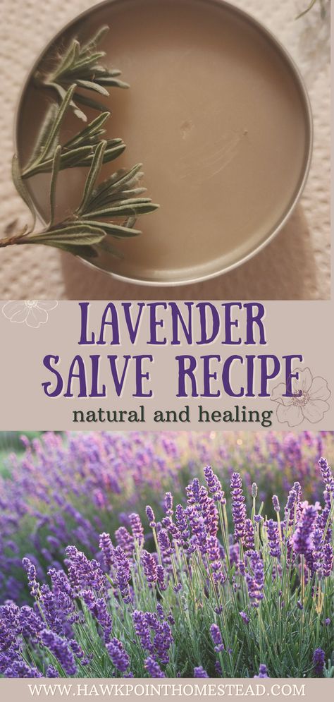 Lavender Salve Recipe, Mint Salve Recipe, Red Clover Salve, Lavender Tincture, Homemade Lavender Oil, Homemade Salve Recipes, Herbalist Garden, Diy Salve, Apothecary Recipes