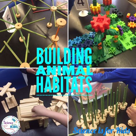 Do your students love learning about animals? In this lesson they build animal habitats with STEM Toys! Learn how to do this lesson in your classroom. Animals Stem Activities, Habitat Activities, Habitats Projects, Used Legos, Animal Adaptations, Nature School, Animal Science, Stem Challenges, Stem Projects