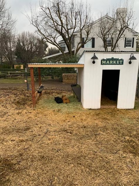 Pet Pig Outdoor Housing, Pallet House For Goats, Small Goat Shed, Pet Cow House, Pig And Goat Pen Ideas, Fence For Goats Ideas, Cute Goat Enclosures, Animal Shed Ideas, Lamb House Ideas