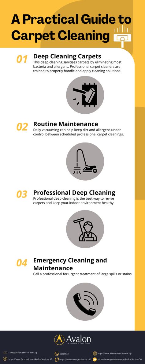 Knowing when to have your carpets professionally cleaned is important to keep them looking their best and your indoor air quality high. This infographic shows practical guides to keep your carpets fresh and your home environment healthy. Maintain and develop a regular carpet cleaning schedule with professional carpet cleaners like Avalon Services, a company that provides holistic carpet cleaning services for almost all types of carpets. Carpet Cleaning Hacks, Professional Carpet Cleaning, Carpet Cleaning Service, Cleaning Company, Cleaning Companies, Professional Cleaning Services, Types Of Carpet, Carpet Cleaners, Carpet Cleaning