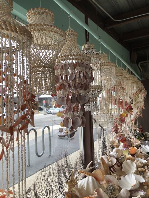 Shell Curtains Seashells, Sea Shell Light, How To Showcase Seashells, Seashell Lamp Shade, Shell Lamp Seashells, Seashell Chandelier, Seashell Art, Seashell Crafts, Shell Crafts