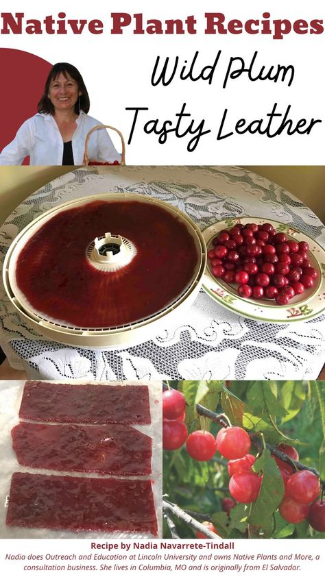 Plum Recipes Canning, Wild Plum Jelly Recipe, Fruit Leather Recipe Dehydrator, Plum Preserves, Plant Recipes, Fruit Leather Recipe, Plum Juice, Wild Plum, Plum Recipes