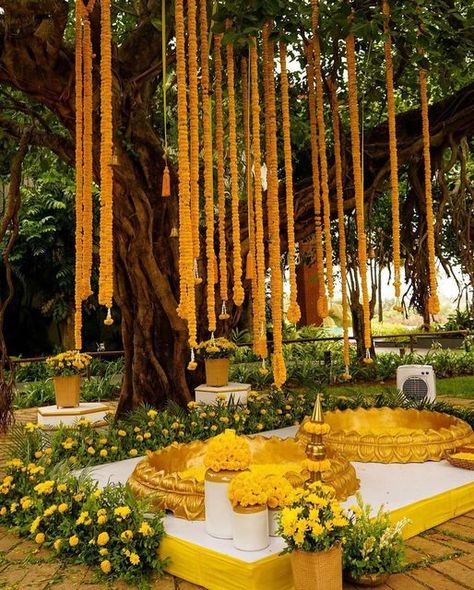 Best Flowers For Wedding, Minimal Haldi Decor Outdoor, Garden Haldi Decor, Haldi Tree Decoration, Kerala Theme Decoration, Tropical Haldi Decor, Kerala Wedding Aesthetic, Indian Wedding Haldi Decor, Kerala Wedding Decorations