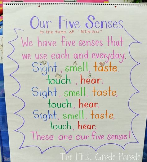 5 Senses song to the tube of Bingo 1st Grade Songs, Five Senses First Grade, Songs About 5 Senses Preschool, Apple 5 Senses, 5 Senses Preschool, Our Five Senses, Five Senses Preschool, 5 Senses Activities, First Grade Parade