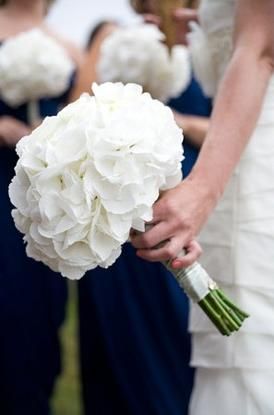 White Hydrangea Bouquet with the horizon blue dresses for maid/matron of honor French Hydrangea Bouquet, White Hydrangea Bouquet, White Hydrangea Wedding, Wedding Flowers Hydrangea, White Hydrangeas, White Bridesmaid, Hydrangea Bouquet, Hydrangeas Wedding, White Wedding Flowers