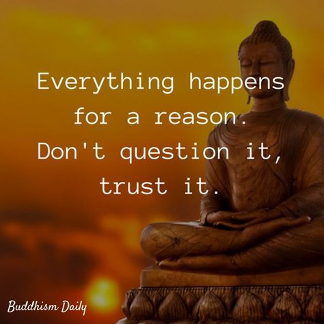 Buddism Quotes, Buddha Quotes Life, Life Choices Quotes, Buddha Quotes Inspirational, Choices Quotes, Strong Mind Quotes, Buddhism Quote, Buddhist Quotes, Buddha Teachings