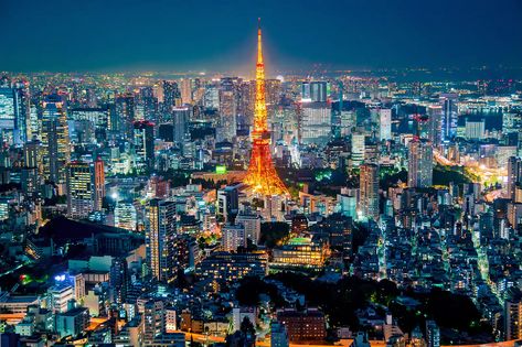 5 Best Night Viewpoints in Tokyo - Enjoy Tokyo Nightlife with a View - Go Guides Night View Video, City View From Above, Tokyo Night View, Tokyo Nightlife, Tokyo City View, Tokyo At Night, Roppongi Hills, Tokyo Skytree, Tokyo Night