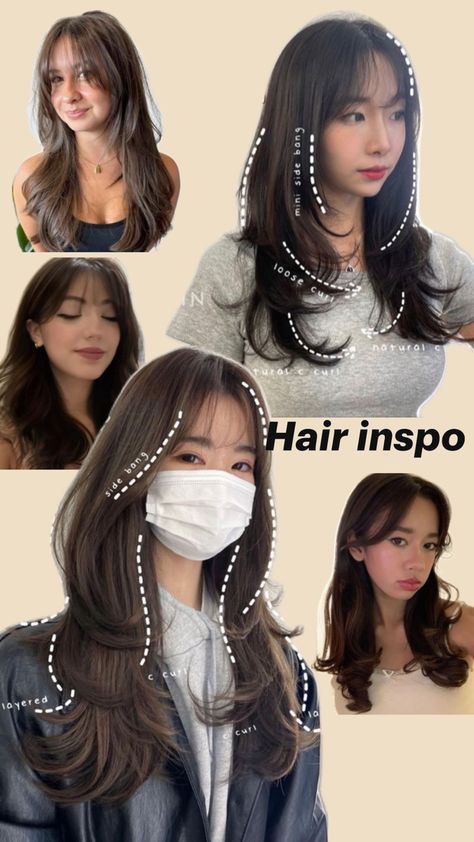 Long layered hair with wispy bangs Layered Hair With Wispy Bangs, Hair With Wispy Bangs, Layered Hair With Bangs, Hair Inspiration Long, Hair Growing Tips, Summer Haircuts, Hair Tips Video, Blonde Hair Looks, Wispy Bangs