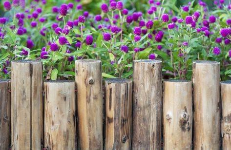 5 Flower Bed Edging Ideas: How to Edge a Garden Bed - 2023 - MasterClass Planter Boxes Garden, Flower Beds Diy, Wooden Garden Edging, Log Planters, Flower Bed Borders, Log Planter, Flower Bed Edging, Planters Garden, Planter Garden