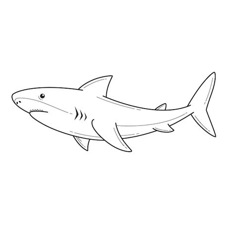 Shark Illustration Art, Drawing Shark Easy, Great White Shark Drawing Easy, Shark Tattoo Ideas Simple, Sea Animal Line Art, Shark Illustration Design, Simple Sea Animal Drawing, Shark Sketch Easy, Shark Simple Tattoo