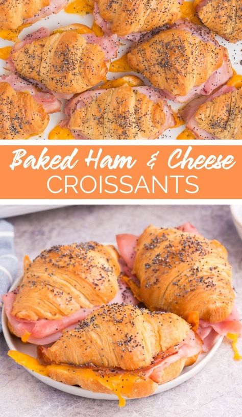 Baked Ham and Cheese Croissants are the best way to start your morning. They are crispy on the outside and soft on the inside! Cresent Roll Ham And Cheese Sliders, Ham And Cheese Crossiant Bake, Ham And Cheese Crossiant Sandwiches, Easy Ham And Cheese Croissant, Make Ahead Ham And Cheese Croissants, Baked Crescent Sandwiches, Ham And Cheese Mini Croissant, Croissant Sandwiches Ideas, Ways To Use Croissants