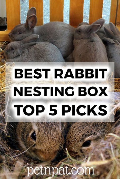 Best Rabbit Nesting Box Guide | Top 5 Picks #pets #animals #rabbits #bunny Rabbit Nesting Boxes Diy, Diy Nesting Box For Rabbits, Rabbit Birthing Boxes, Rabbit Nest Box Diy, Diy Rabbit Nest Box Ideas, Foraging Box For Rabbits, Bunny Nesting Box Diy, Rabbit Nesting Boxes, Nesting Boxes For Rabbits