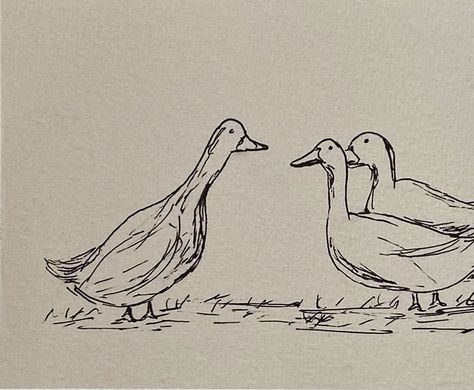 Duck Sketch, Threes Company, French Country Art, Duck Drawing, Duck Art, Three's Company, Floral Drawing, Drawing Ink, Ink Sketch