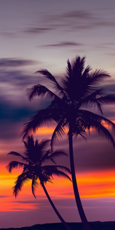 Purple Sunset, The Ocean, Palm Trees, Trees, Orange, Purple, Blue, Art