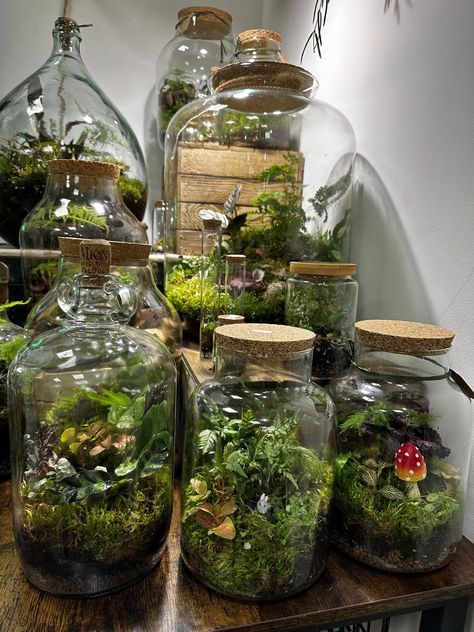 Small Moss Terrarium, Small Terrarium Ideas, Terrarium Aesthetic, Closed Terrarium Plants, Large Terrarium, Small Terrarium, Beautiful Terrariums, Plant Terrarium, Moss Terrarium