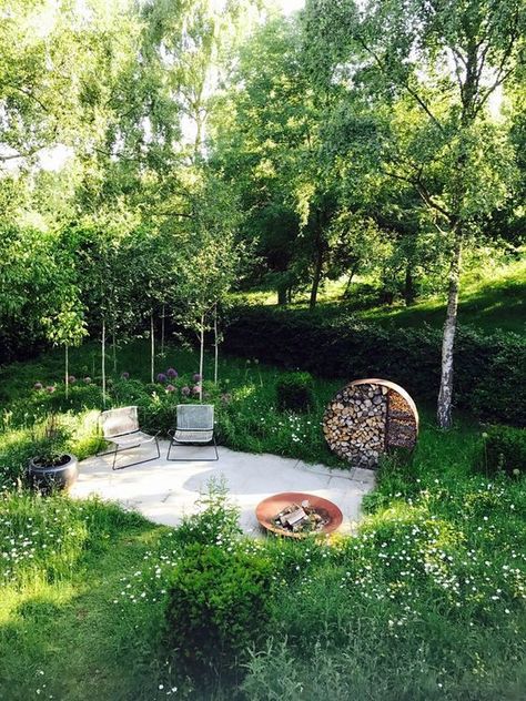 Contemporary Garden Design, Wildlife Garden, Meadow Garden, 카페 인테리어 디자인, Modern Garden Design, Have Inspiration, Wildlife Gardening, Contemporary Garden, The Secret Garden