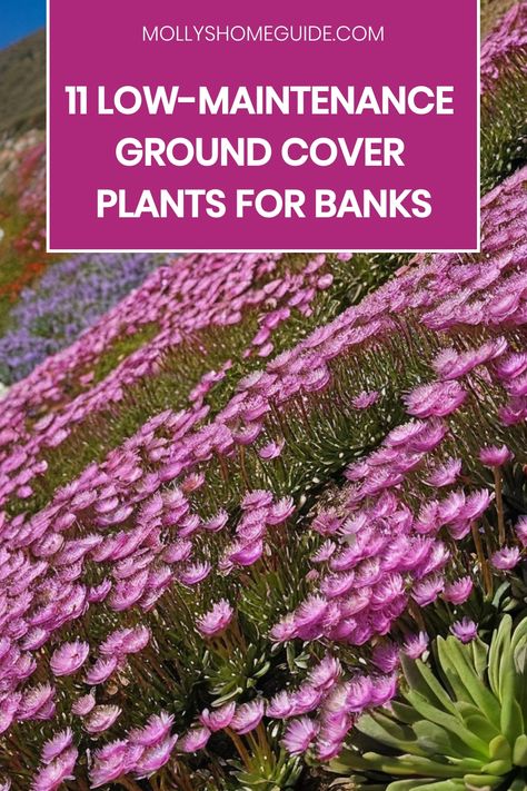 Discover the best ground cover plants for banks and slopes to enhance your garden with low-maintenance beauty. Consider planting Creeping Phlox or other easy-to-grow options for evergreen charm and colorful blooms. From shade-loving varieties to sloping garden ideas, explore a range of flowering and evergreen ground covers to create stunning landscapes effortlessly. Whether you're looking for practical solutions or decorative elements, these versatile plants will transform your outdoor space int Ground Cover Along Fence, Groundcover For Slopes, Ground Cover Plants Shade, Sloping Garden Ideas, Mountain Farming, Steep Hillside Landscaping, Best Ground Cover Plants, Sloping Garden, Landscaping On A Hill