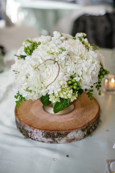 White and green hydrangea, my green hypericum berry, curly willow, stock and football mum centerpiece in wood disc by www.staceysflowerspdx.com.           Photo by www.erynkeslerphotography.com Wood Slice Centerpiece Wedding, Mum Centerpiece, Wood Slice Centerpiece, Hypericum Berry, White Floral Centerpieces, Football Mums, Farmhouse Table Centerpieces, Curly Willow, Vintage Props