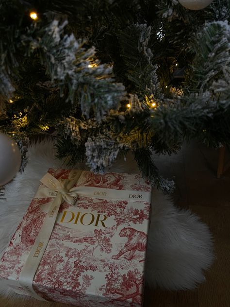 Red Dior box under the Christmas tree with a bow Classy Christmas Aesthetic, Rich Girl Christmas, Christmas Gifts Under Tree, Gifts Under Tree, Old Money Christmas, Presents Under The Christmas Tree, Dior Christmas, Under Christmas Tree, Rich Christmas