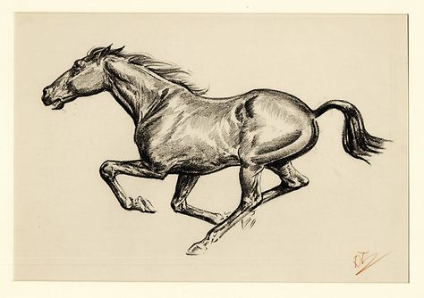 Horse Running Drawing, Horse Tattoo Design, Woodcut Tattoo, Dinosaur Sketch, Horse Sketch, Nature Art Drawings, Running Horse, My Horse, Horse Tattoo