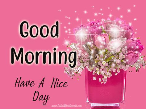 Good Morning Gif For Wife | Good Morning Wishes - Best World Events Good Morning Gif Images, Good Morning Gift, Romantic Good Morning Messages, Good Morning Handsome, Good Morning Funny Pictures, Good Morning Beautiful Gif, Cute Good Morning Images, Funny Good Morning Quotes, Good Morning Images Hd