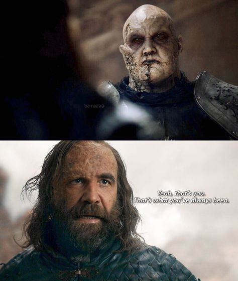 Did Cleganebowl deserve all the hype? YES IT DID! 👏 Episode 5, Season 8, Game of Thrones. Sandor Clegane, Rory Mccann, Game Of Thrones Facts, Game Of Thrones Quotes, The North Remembers, Game Of Thrones Funny, King In The North, Got Memes, Gra O Tron