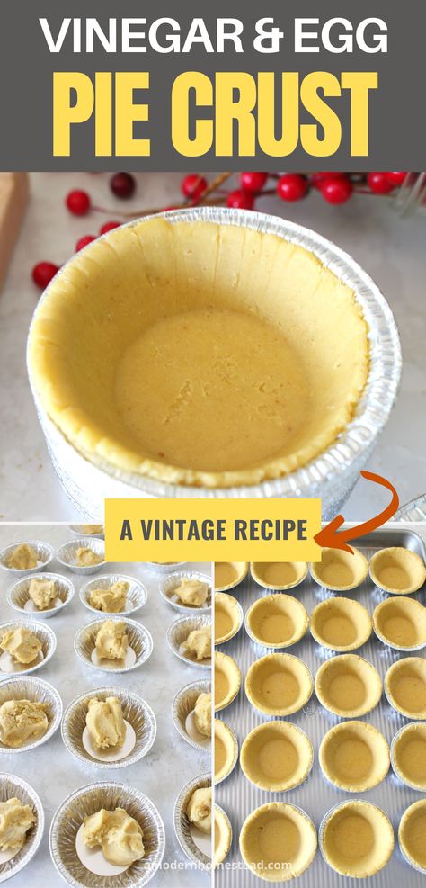 All Shortening Pie Crust, Never Fail Pie Crust Recipe Vinegar, Egg And Vinegar Pie Crust, Pie Crust With Egg And Vinegar Recipe, No Fail Pie Crust Recipe Vinegar, Pie Crust With Egg And Vinegar, Kitchenaid Pie Crust, Pie Crust Vinegar, Pat In Pan Pie Crust Recipe